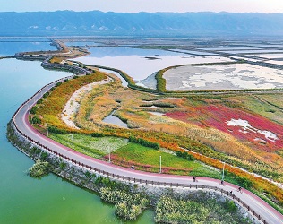 濕地公園美如畫